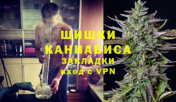 apvp Алзамай