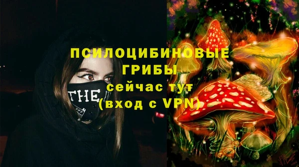 apvp Алзамай