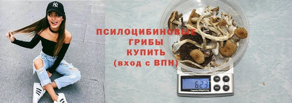 бошки Алексин