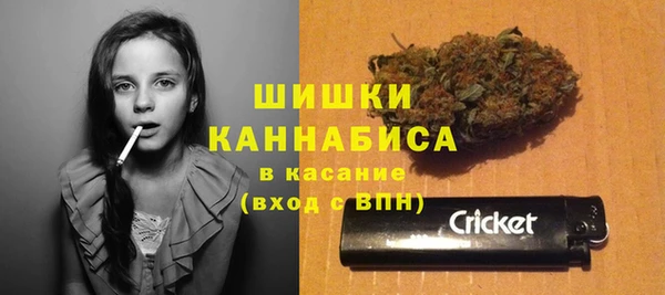 бошки Алексин